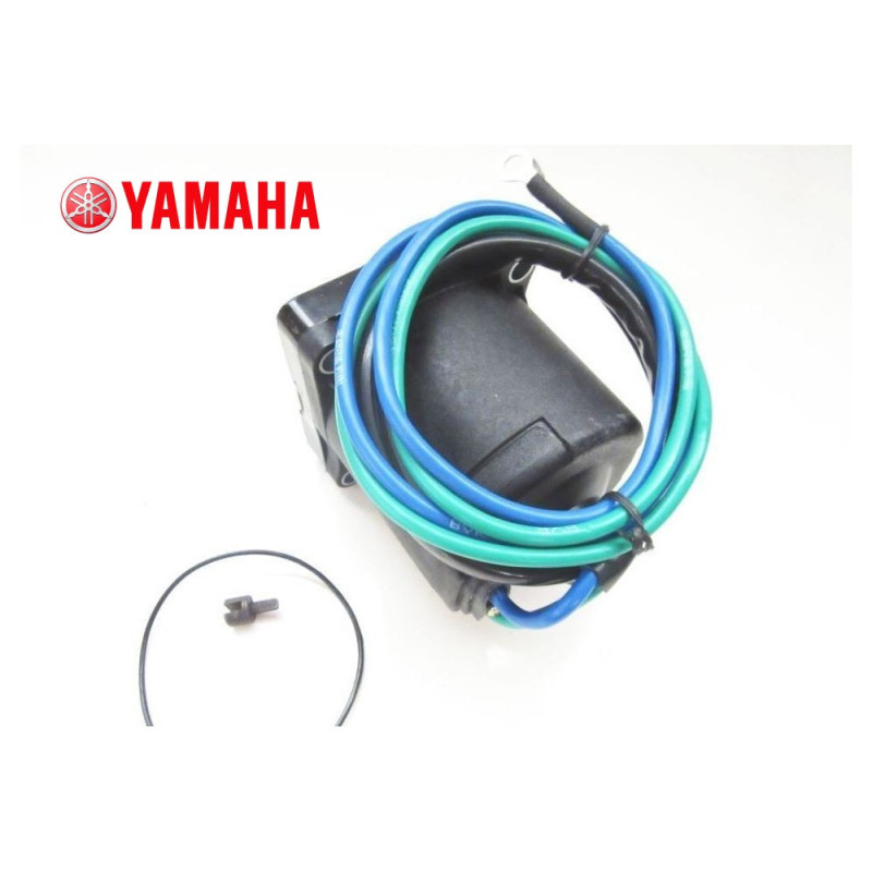 Moteur de trim Yamaha 64E-43880-02-00