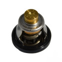 Thermostat avec Joint Johnson Evinrude 25CV_2