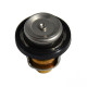 Thermostat avec Joint Johnson Evinrude 30CV_1