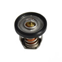 Thermostat Suzuki DF9.9_2