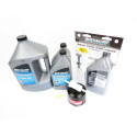 Kit Entretien Mercury 150CV EFI 4T Injection 100h_3