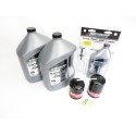 Kit Entretien Mercury 200CV VERADO L6 GEN 2 100h_2