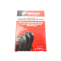 Kit Entretien Mercury 100 CV EFI 2.1L 4T Injection 100h-1