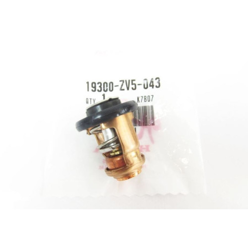 Thermostat d'Origine Honda 50CV 4T