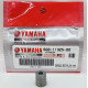 Anode de bloc Yamaha 6G8-11325