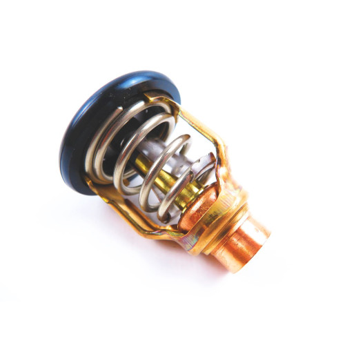 Thermostat Yamaha F150