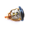 Thermostat Yamaha F200-2