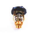 Thermostat Yamaha F115-4