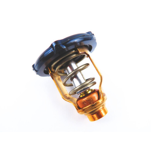 Thermostat Yamaha F115