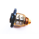 Thermostat Yamaha 225CV 2T Injection-5