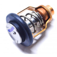 Thermostat Suzuki DF150