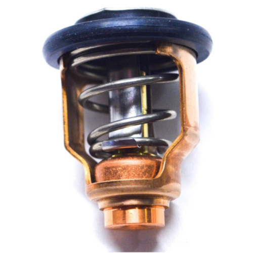 Thermostat Suzuki DF225