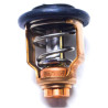 Thermostat Mercury 90CV