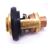 Thermostat Yamaha F60