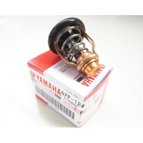 Thermostat Yamaha F80