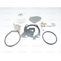 Kit Carburateur Yamaha 40CV 2T