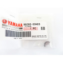 Kit Entretien Yamaha FT50C