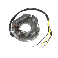 Stator Seadoo SPI