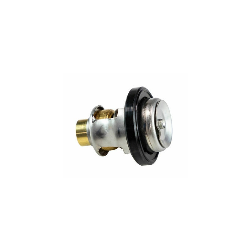 Thermostat Johnson Evinrude 70CV 2T