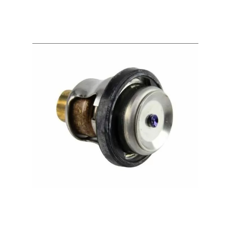 Thermostat Johnson Evinrude 40CV