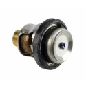 Thermostat Johnson Evinrude 50CV